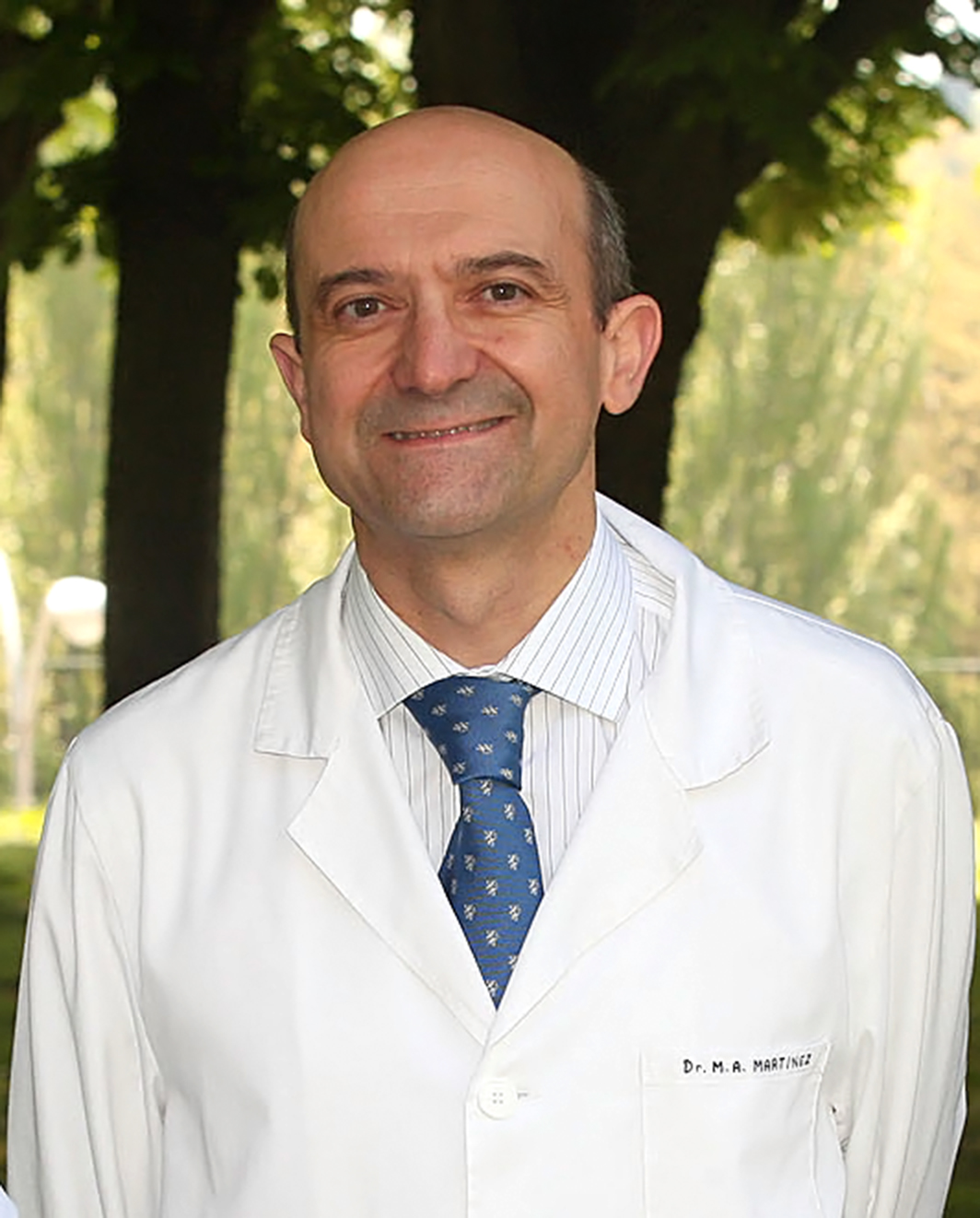 Miguel ngel Martnez-Gonzlez